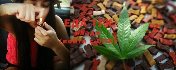 эйфоретик Алзамай