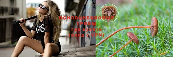 амфетамин Алексин