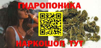 ГАЛЛЮЦИНОГЕННЫЕ ГРИБЫ Новозыбков