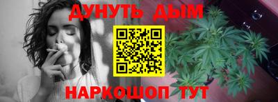 эйфоретик Новокубанск