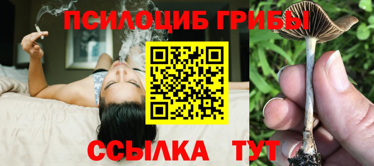 Новороссийск  Псилоцибиновые грибы GOLDEN TEACHER  Вход с VPN 