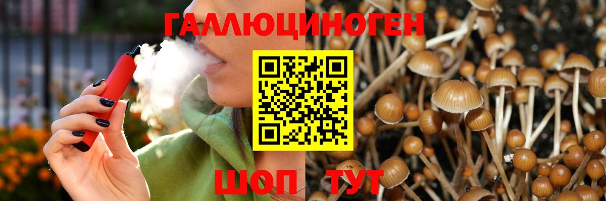 Псилоцибиновые грибы ЛСД Новороссийск