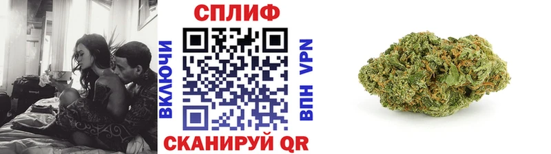 Бошки марихуана план  маркетплейс как зайти  Новороссийск  купить наркоту 